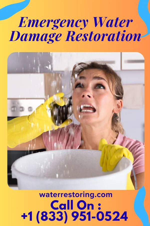 Emergency Water Damage Restoration in St. Marks, FL
